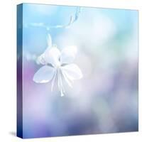 Flower Background-Timofeeva Maria-Stretched Canvas