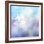 Flower Background-Timofeeva Maria-Framed Art Print