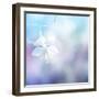 Flower Background-Timofeeva Maria-Framed Art Print