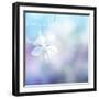 Flower Background-Timofeeva Maria-Framed Art Print