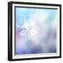 Flower Background-Timofeeva Maria-Framed Premium Giclee Print