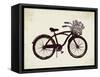 Flower Basket Bike-Evangeline Taylor-Framed Stretched Canvas