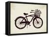 Flower Basket Bike-Evangeline Taylor-Framed Stretched Canvas