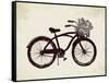 Flower Basket Bike-Evangeline Taylor-Framed Stretched Canvas