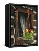 Flower Basket Outside Window of Log Cabin, Fort Boonesborough, Kentucky, USA-Dennis Flaherty-Framed Stretched Canvas