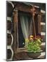 Flower Basket Outside Window of Log Cabin, Fort Boonesborough, Kentucky, USA-Dennis Flaherty-Mounted Photographic Print