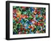 Flower Bed-Sydney Edmunds-Framed Giclee Print