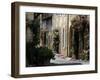 Flower Bedecked Street, St. Cyprien, Dordogne, France, Europe-Peter Richardson-Framed Photographic Print