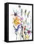 Flower Bedlam-Karin Johannesson-Framed Stretched Canvas