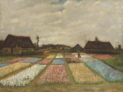https://imgc.allpostersimages.com/img/posters/flower-beds-in-holland-bulb-fields_u-L-F9M3Y10.jpg?artPerspective=n