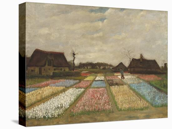 Flower Beds in Holland, C.1883-Vincent van Gogh-Stretched Canvas