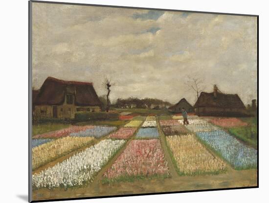 Flower Beds in Holland, C.1883-Vincent van Gogh-Mounted Giclee Print