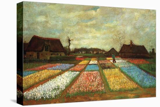 Flower Beds of Holland-Vincent van Gogh-Stretched Canvas