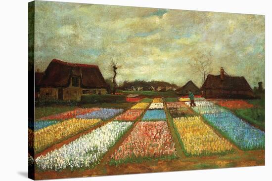 Flower Beds of Holland-Vincent van Gogh-Stretched Canvas