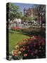 Flower Beds with Tulips in Town Centre, Deauville, Calvados, Normandy, France-David Hughes-Stretched Canvas