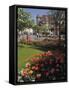 Flower Beds with Tulips in Town Centre, Deauville, Calvados, Normandy, France-David Hughes-Framed Stretched Canvas