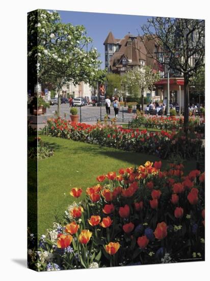 Flower Beds with Tulips in Town Centre, Deauville, Calvados, Normandy, France-David Hughes-Stretched Canvas