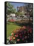 Flower Beds with Tulips in Town Centre, Deauville, Calvados, Normandy, France-David Hughes-Framed Stretched Canvas