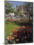 Flower Beds with Tulips in Town Centre, Deauville, Calvados, Normandy, France-David Hughes-Mounted Photographic Print