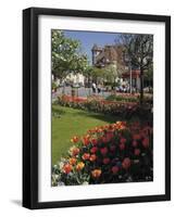 Flower Beds with Tulips in Town Centre, Deauville, Calvados, Normandy, France-David Hughes-Framed Photographic Print