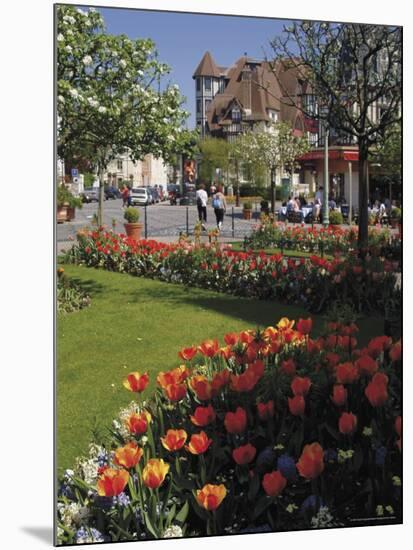 Flower Beds with Tulips in Town Centre, Deauville, Calvados, Normandy, France-David Hughes-Mounted Photographic Print