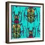 Flower Beetle Turquoise-Sharon Turner-Framed Art Print