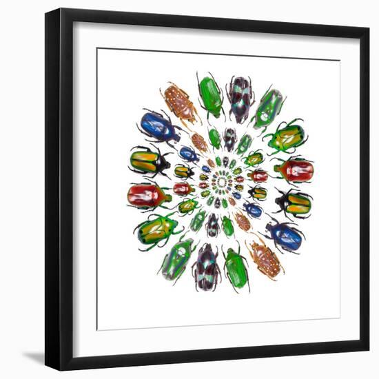 Flower Beetles in Circular Pattern Design-Darrell Gulin-Framed Photographic Print