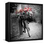 Flower Bike Square with Border-Gail Peck-Framed Stretched Canvas