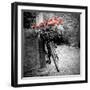 Flower Bike Square with Border-Gail Peck-Framed Art Print