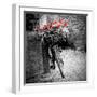 Flower Bike Square with Border-Gail Peck-Framed Premium Giclee Print