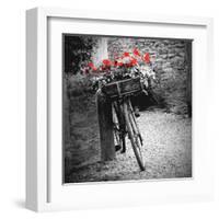 Flower Bike Square-Gail Peck-Framed Art Print