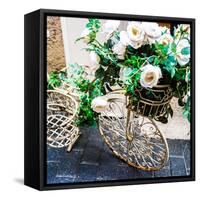 Flower Bike Square-Acosta-Framed Stretched Canvas