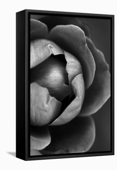 Flower Bloom-Incado-Framed Stretched Canvas