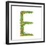 Flower Blossom Decorative Botanical Elegant Alphabet Letter E. Flower ABC Sign E. Floral Summer Col-Popmarleo-Framed Art Print