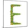 Flower Blossom Decorative Botanical Elegant Alphabet Letter E. Flower ABC Sign E. Floral Summer Col-Popmarleo-Mounted Art Print