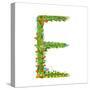 Flower Blossom Decorative Botanical Elegant Alphabet Letter E. Flower ABC Sign E. Floral Summer Col-Popmarleo-Stretched Canvas