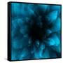 flower blue-Johan Lilja-Framed Stretched Canvas