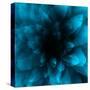 flower blue-Johan Lilja-Stretched Canvas