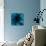 flower blue-Johan Lilja-Giclee Print displayed on a wall