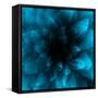 flower blue-Johan Lilja-Framed Stretched Canvas