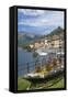 Flower Boat, Domaso, Lake Como, Italian Lakes, Lombardy, Italy, Europe-James Emmerson-Framed Stretched Canvas