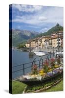 Flower Boat, Domaso, Lake Como, Italian Lakes, Lombardy, Italy, Europe-James Emmerson-Stretched Canvas