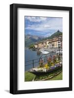 Flower Boat, Domaso, Lake Como, Italian Lakes, Lombardy, Italy, Europe-James Emmerson-Framed Photographic Print