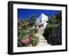 Flower Bordered Flight of Steps in the Old Town, Altea, Alicante, Valencia, Spain-Ruth Tomlinson-Framed Photographic Print