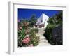 Flower Bordered Flight of Steps in the Old Town, Altea, Alicante, Valencia, Spain-Ruth Tomlinson-Framed Photographic Print