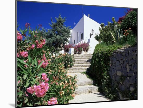 Flower Bordered Flight of Steps in the Old Town, Altea, Alicante, Valencia, Spain-Ruth Tomlinson-Mounted Photographic Print