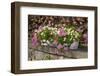 Flower Box-Chris Seba-Framed Photographic Print