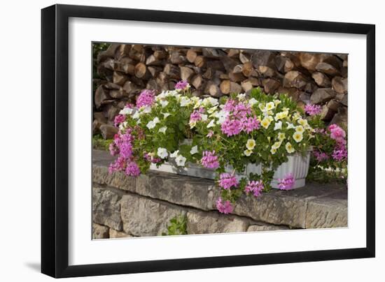 Flower Box-Chris Seba-Framed Photographic Print