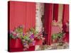 Flower Boxes on Storefronts, Savannah, Georgia, USA-Julie Eggers-Stretched Canvas