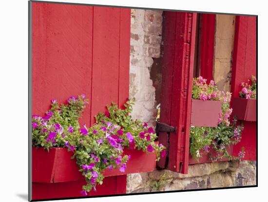 Flower Boxes on Storefronts, Savannah, Georgia, USA-Julie Eggers-Mounted Premium Photographic Print